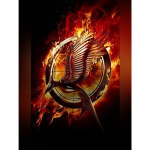 Custom Fridge Magnet The Hunger Games Mockingjay Emblem Home Decor